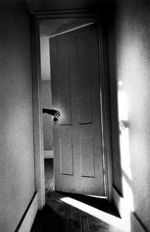 The Somnambulist
