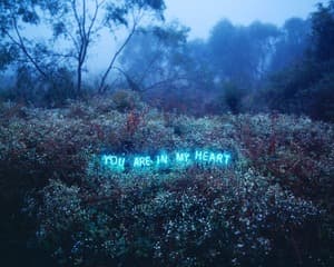 YOU ARE IN MY HEART (FROM THE SERIES 'APORIA')