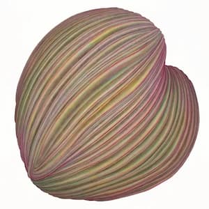thing - 3