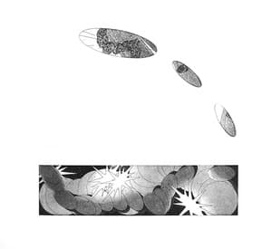 No.46-1,2,3,No.57,No70을 이용한 드로잉
