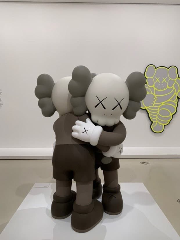카우스