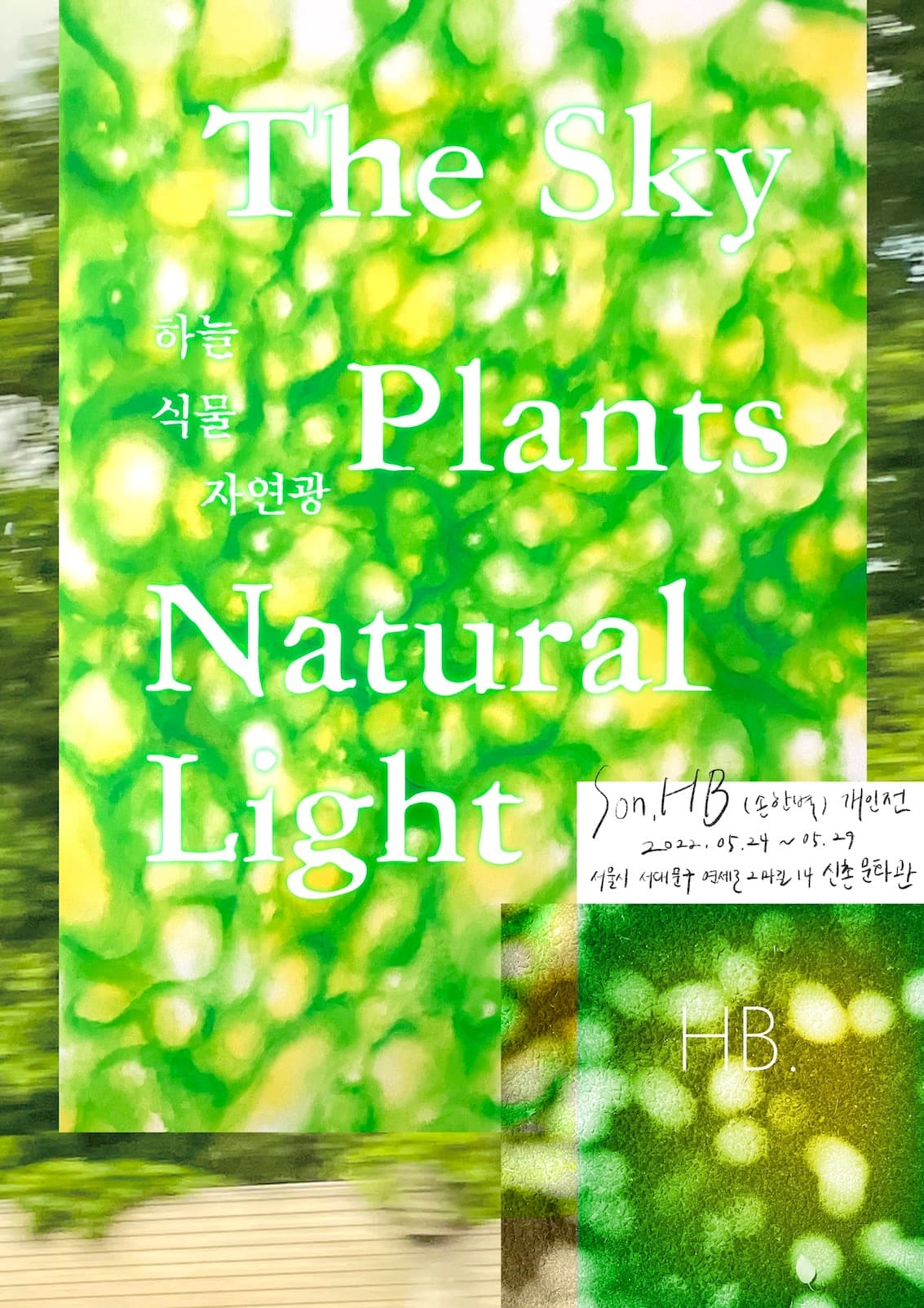 하늘, 식물, 자연광 The Sky, Plants, Natural Light 포스터
