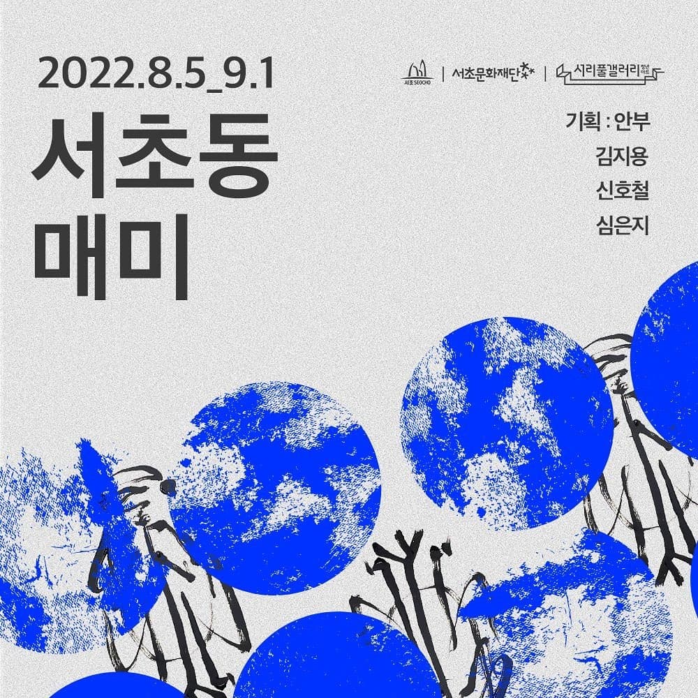 서초동 매미 포스터