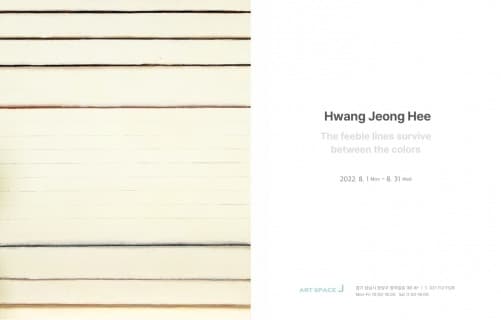 황정희 : The Feeble lines Survive between the Colors