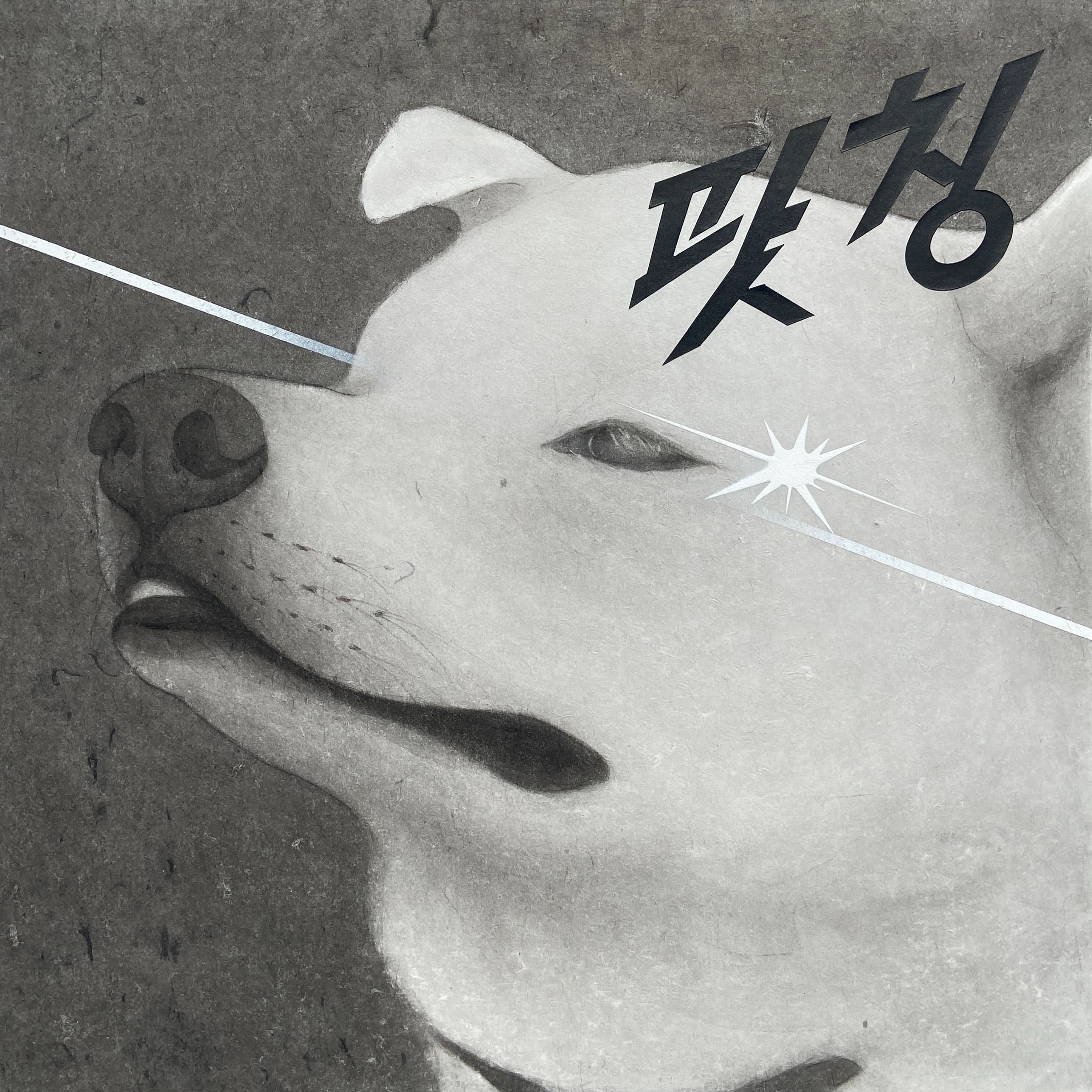 팟-칭