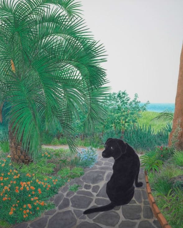 LEO