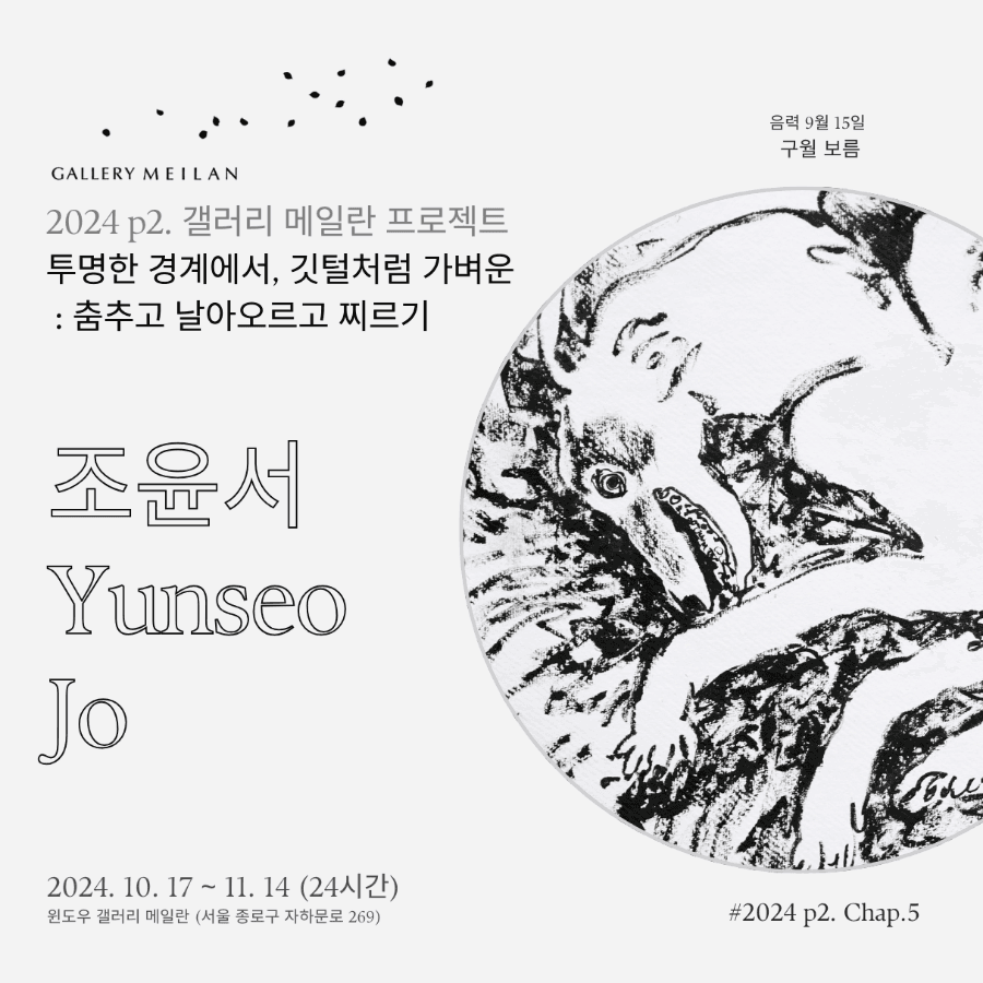 조윤서《투명한 경계에서, 깃털처럼 가벼운 : 춤추고 날아오르고 찌르기》