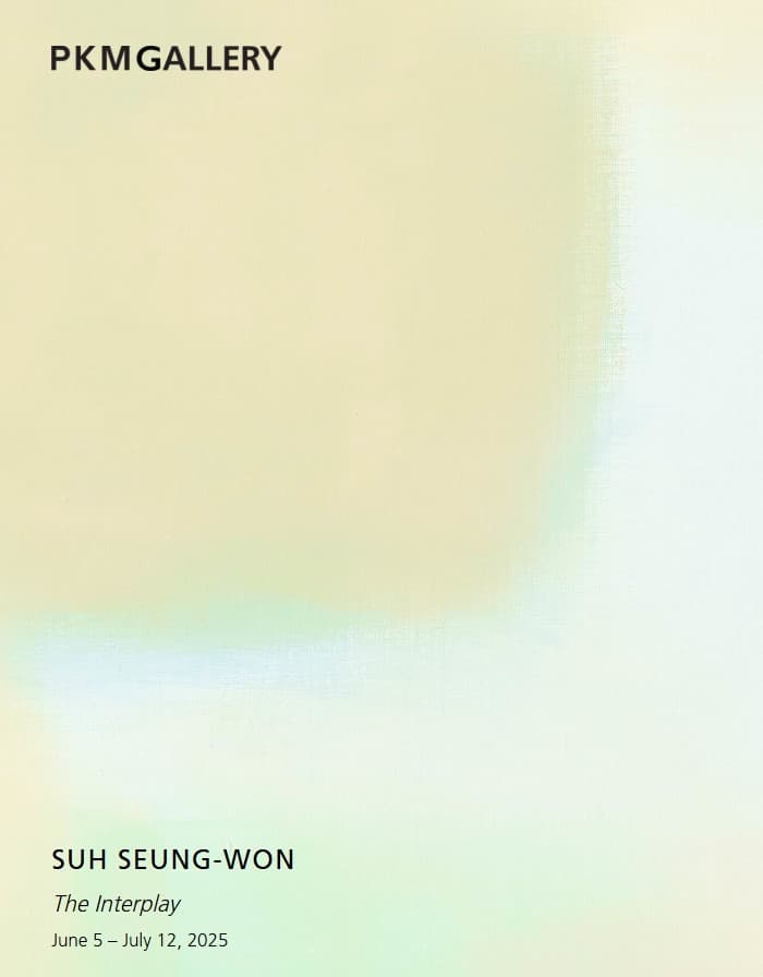 서승원 «The Interplay» 포스터