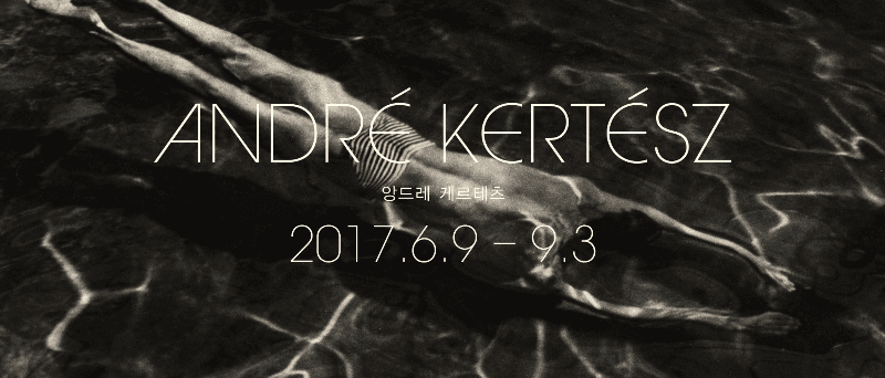 앙드레 케르테츠 André Kertész 포스터