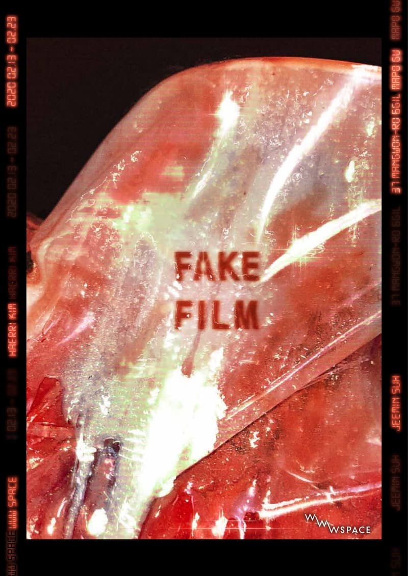 FAKE FILM 포스터