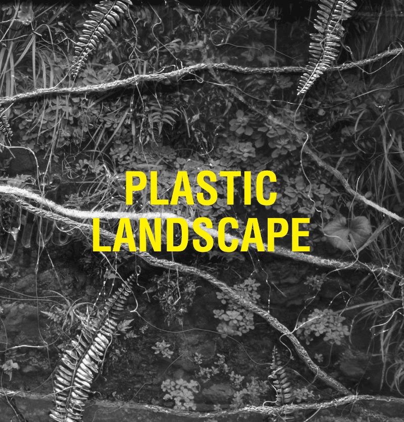PLASTIC LANDSCAPE