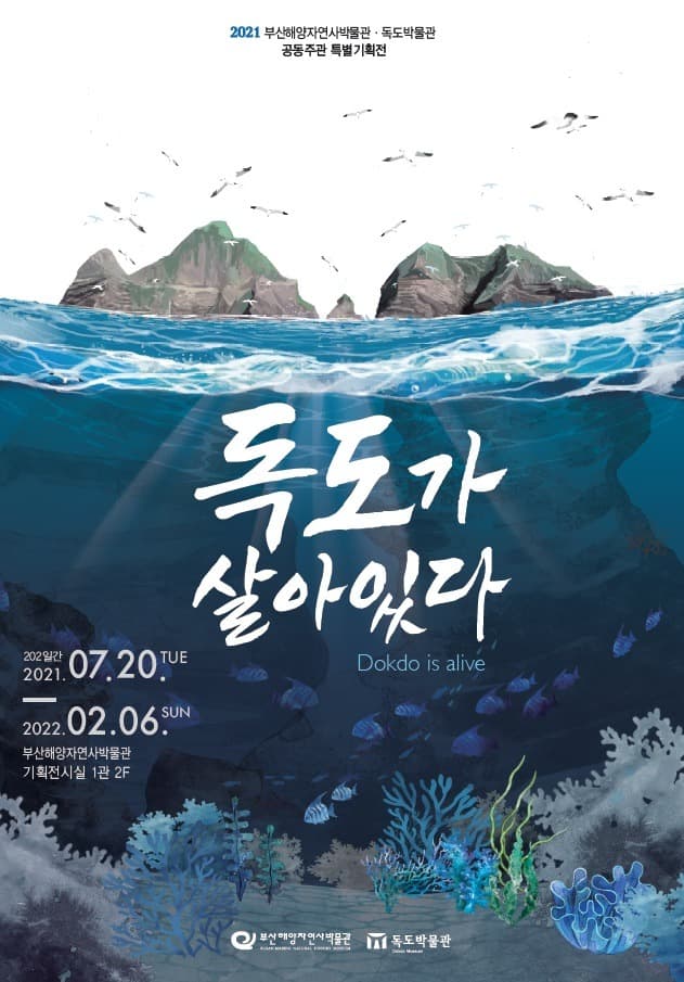 독도가 살아있다